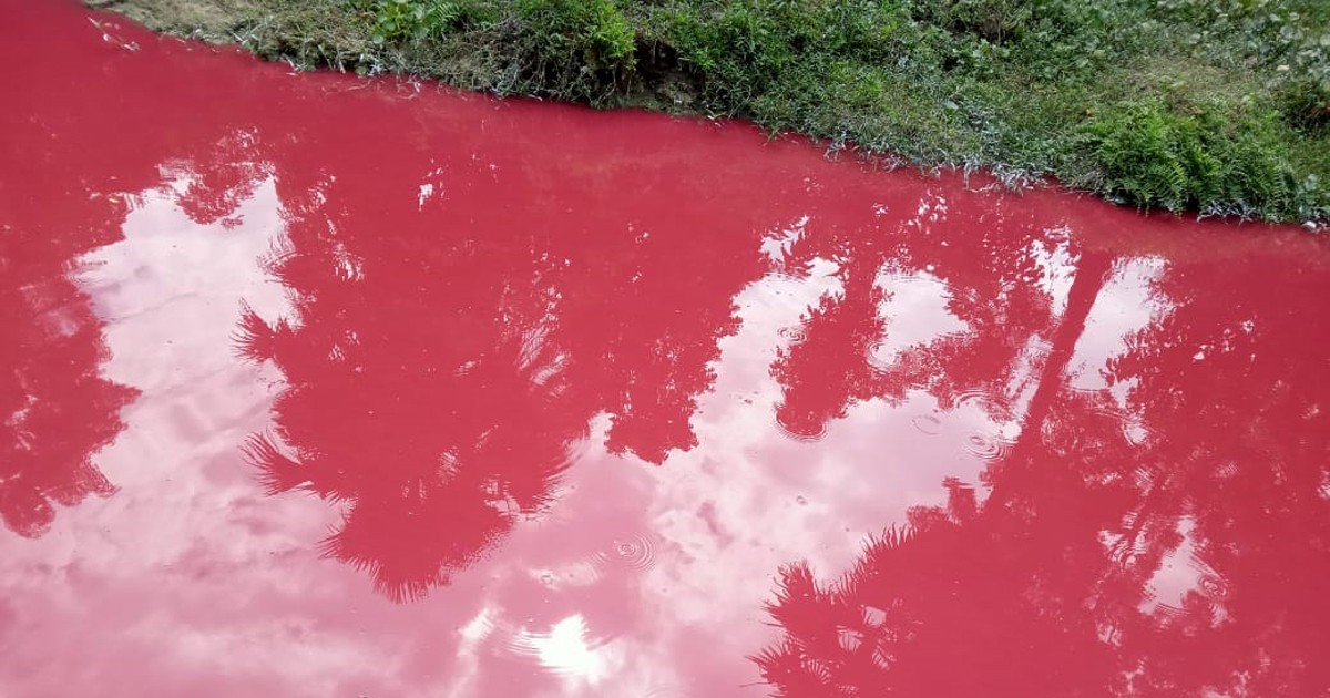 গিরগিটির মতো রঙ বদলায় যে নদী