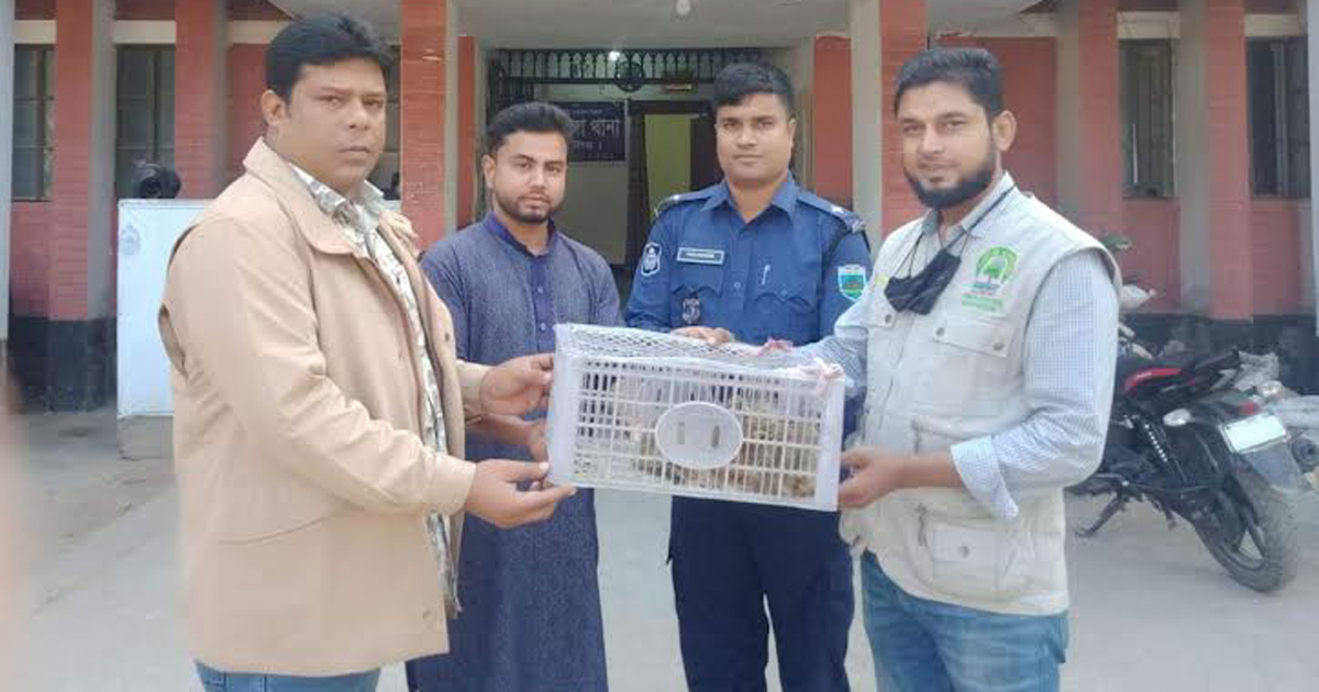 নাটোরে ৩টি মেছোবিড়াল উদ্ধার