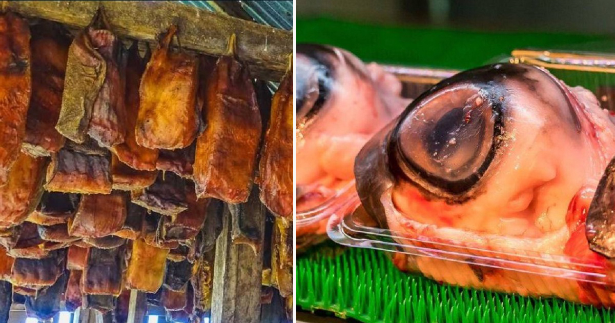 বিশ্বের সবচেয়ে ‘ঘিনঘিনে’ খাবার