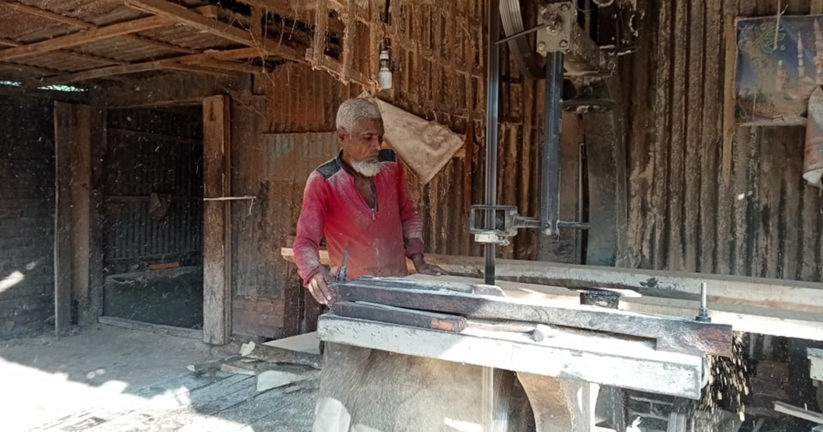 বীর যোদ্ধা মজনু এখন করাতকল শ্রমিক, থাকেন গুচ্ছগ্রামে!