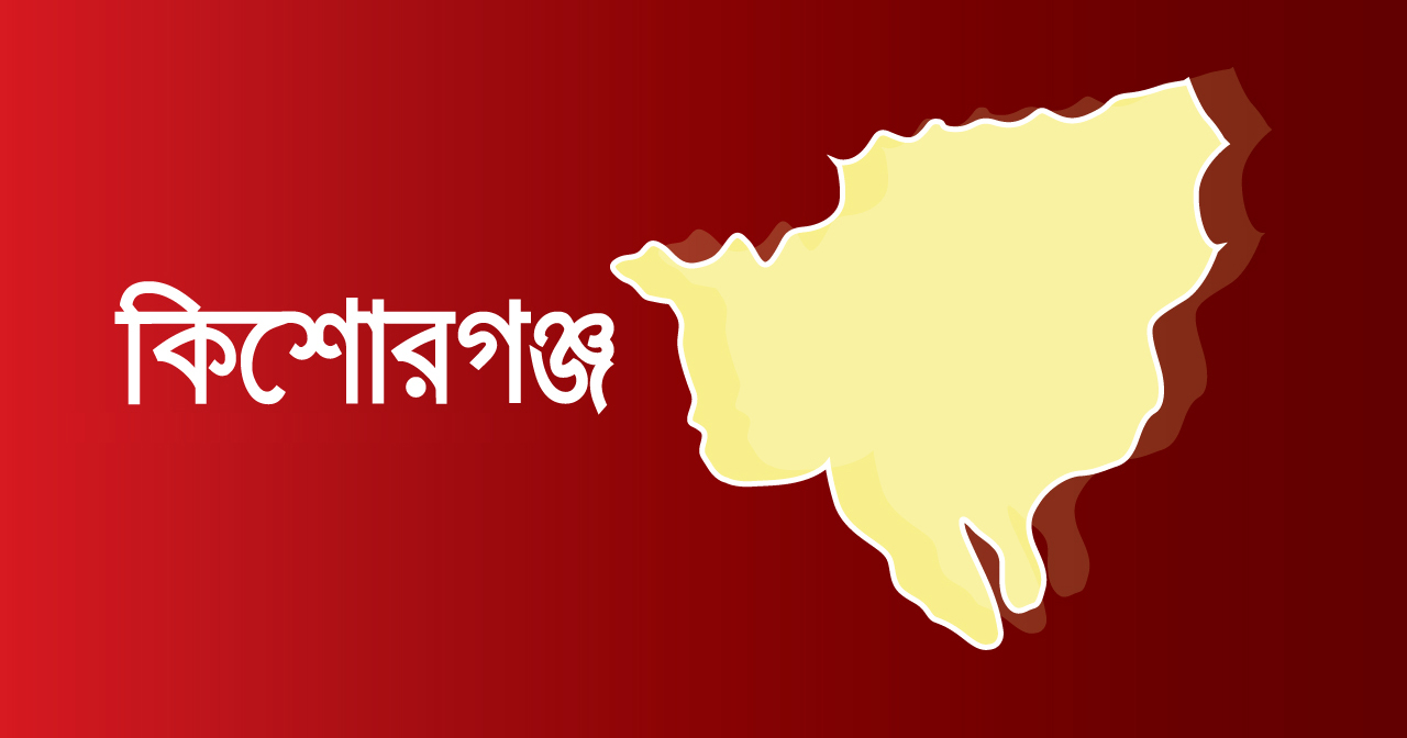 বিজয় দিবসের শোভাযাত্রায় আ.লীগ-বিএনপির সংঘর্ষ, আহত ১২