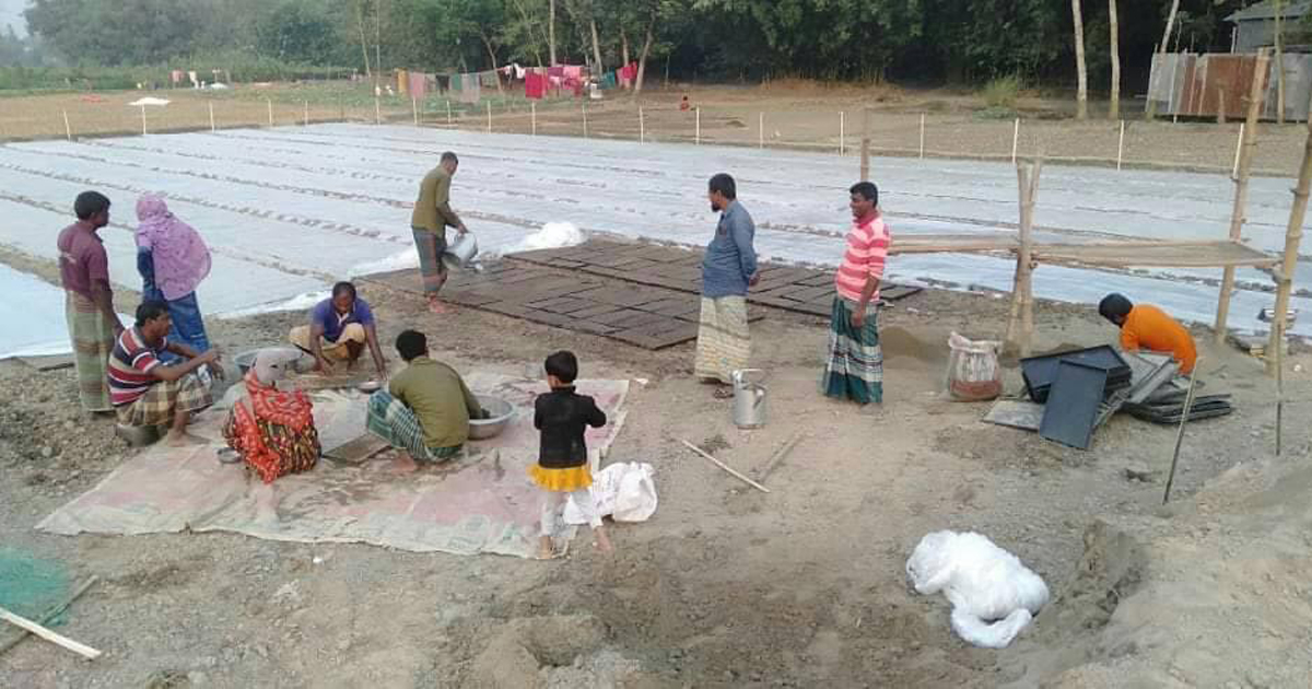 সমলয় চাষাবাদের প্রস্তুতিতে ট্রে পদ্ধতিতে বীজতলা তৈরী