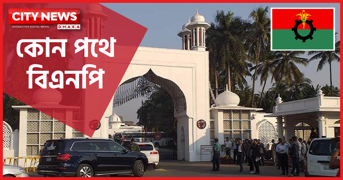 আলোচনা-আন্দোলনে কোথাও নেই বিএনপি