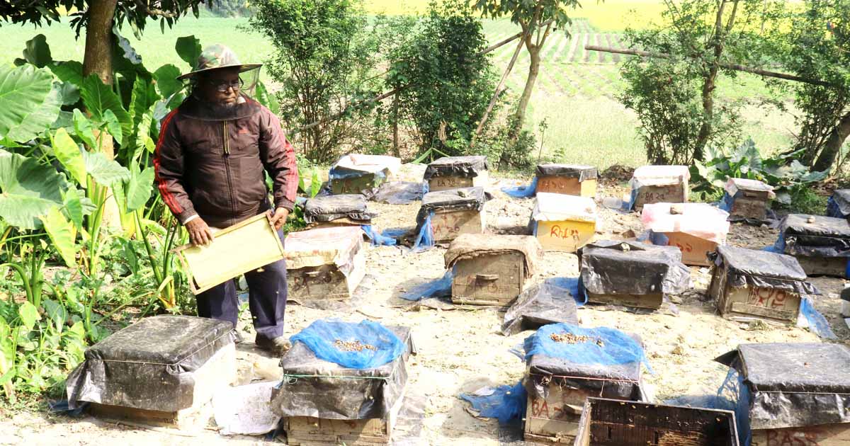 মধু চাষ করে মাসে লাখ টাকা আয় বাবুলের