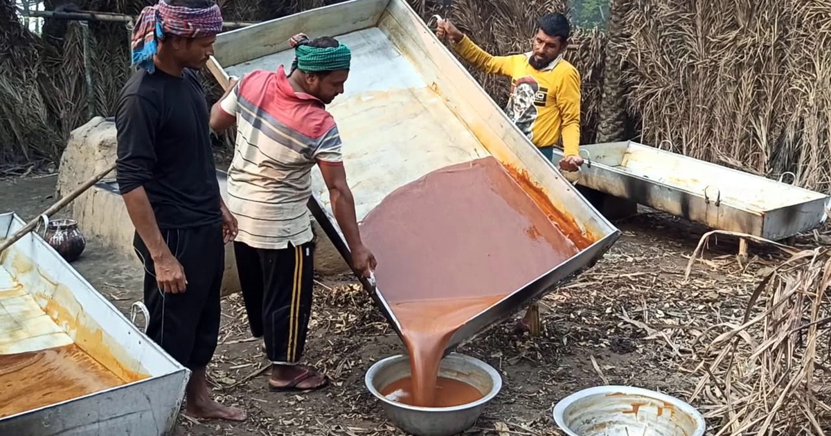 হুমকিতে এলাকা ছাড়লেন গাছিরা, খেজুরের গুড় তৈরি বন্ধ