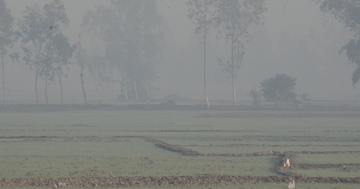 পঞ্চগড়ে কনকনে শীতে বিপর্যস্ত জনজীবন