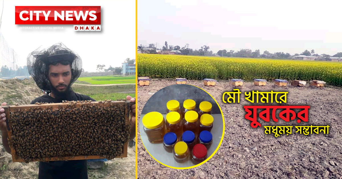 মৌ খামারে যুবকের মধুময় সম্ভাবনা