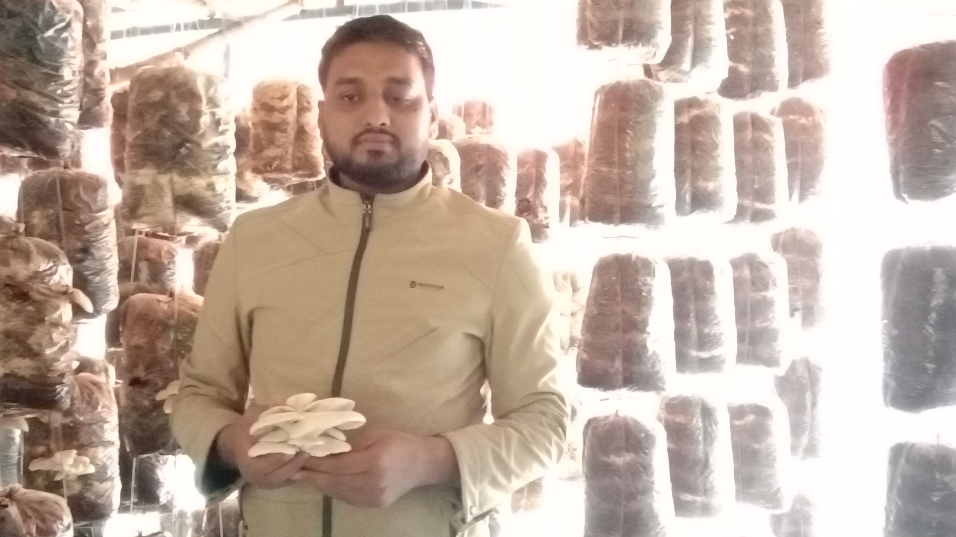 মাশরুম চাষে সাতক্ষীরার সাদ্দামের সাফল্য