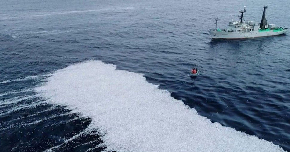 সাগরে ৩ হাজার বর্গমিটারজুড়ে লাখো মরা মাছ