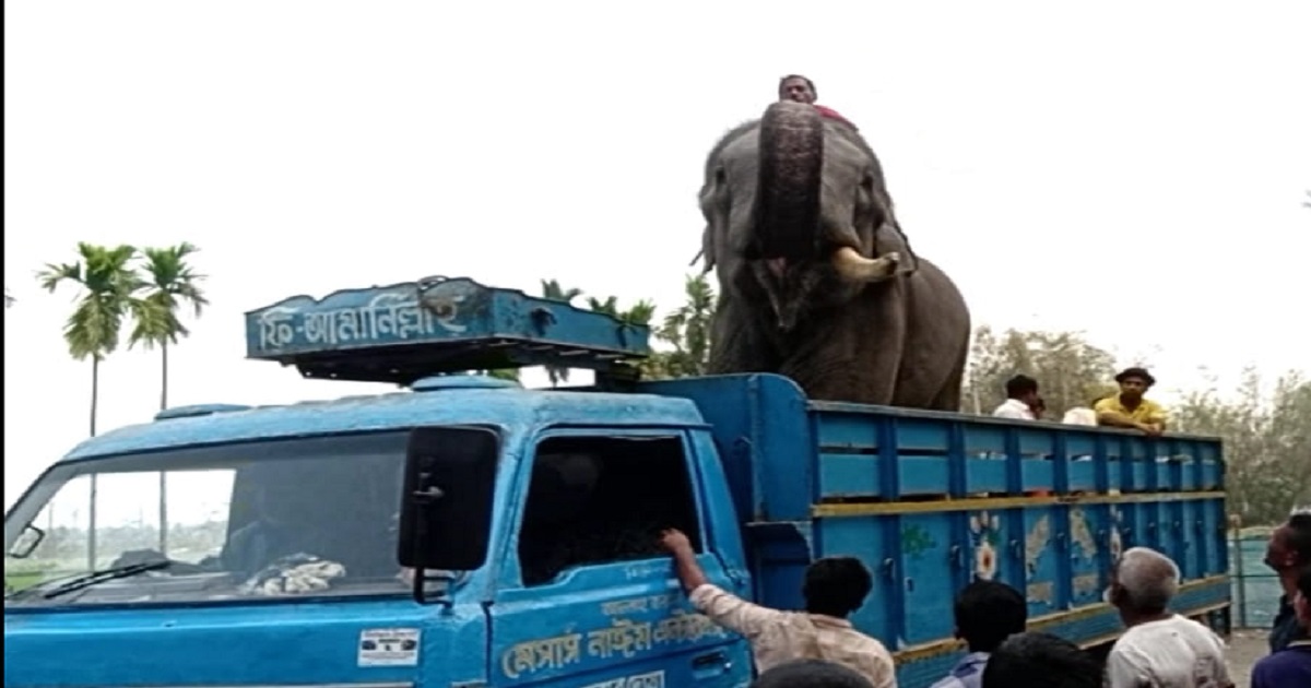 বিদায়বেলায় কাঁদলো হাতি