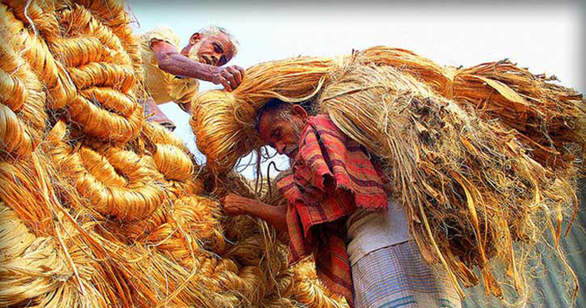 জাতীয় পাট দিবস আজ