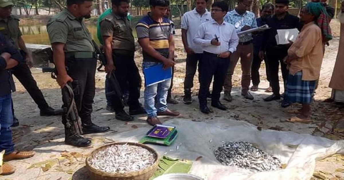 সুন্দরবনের মাছ, গাছ, ঘাস সবকিছুতেই ওসির ঘুষ বাণিজ্য!