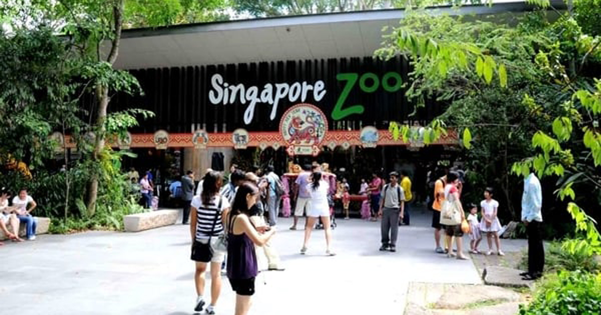 সিঙ্গাপুর ভ্রমণে পর্যটকদের জন্য বিশেষ ঘোষণা