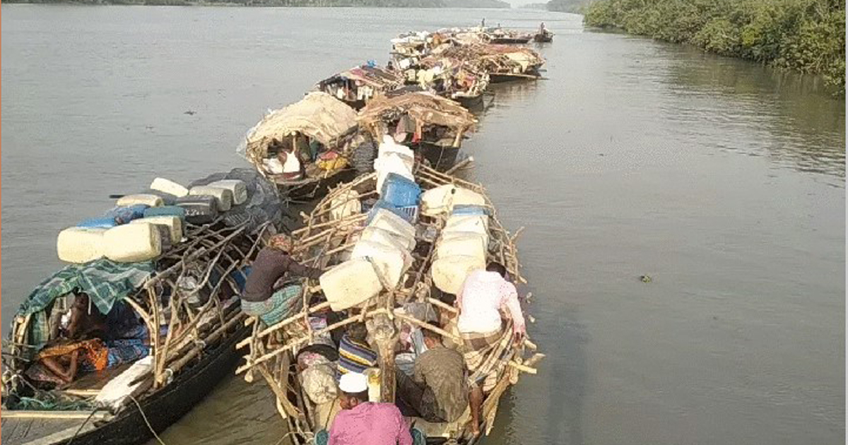 মধু সংগ্রহে শরণখোলার ৪ শতাধিক মৌয়াল সুন্দরবনে