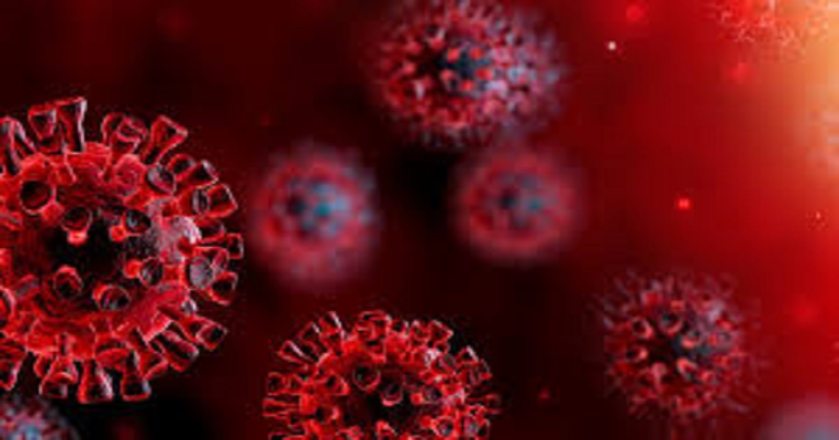 মৃত্যুহীন দিনে ৪৮ জনের করোনা শনাক্ত