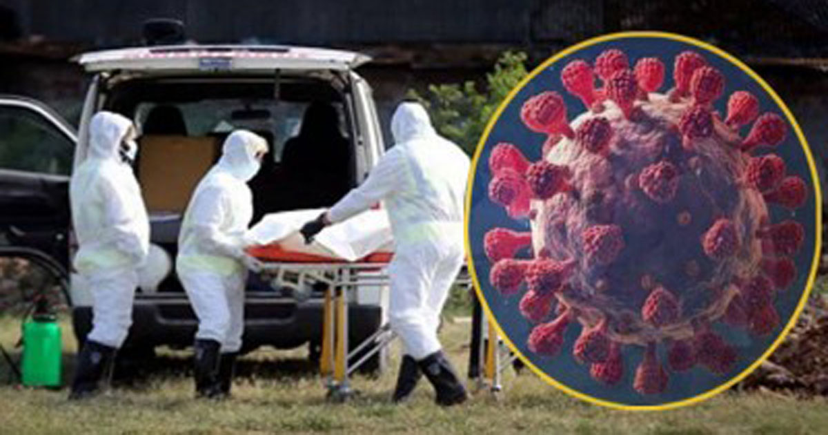 করোনায় ১ জনের মৃত্যু, শনাক্ত ২৮