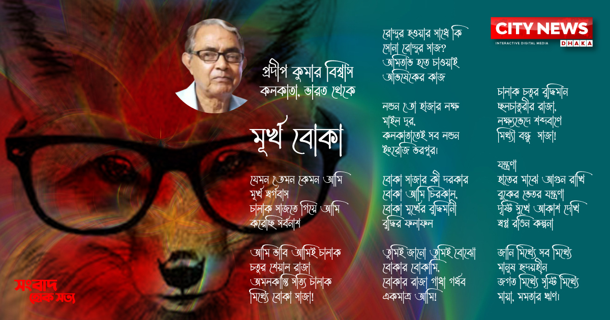 মূর্খ বোকা