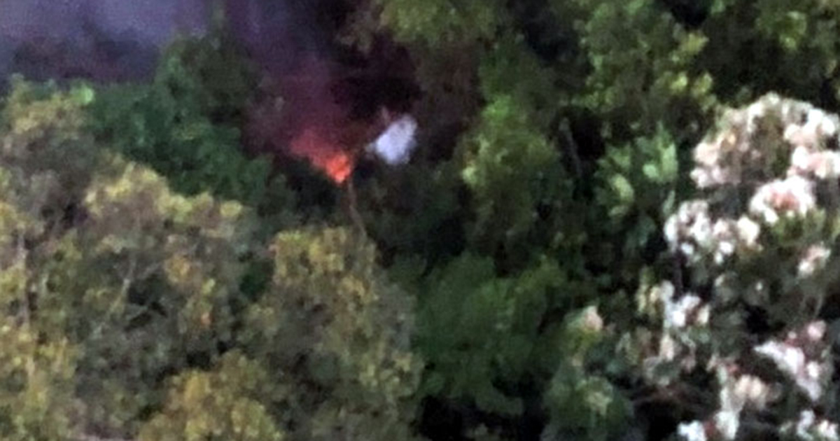 ১১ আরোহী নিয়ে ক্যামেরুনে বিমান বিধ্বস্ত