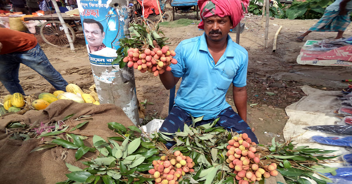নন্দীগ্রামের বাজারে উঠতে শুরু করেছে রসালো লিচু