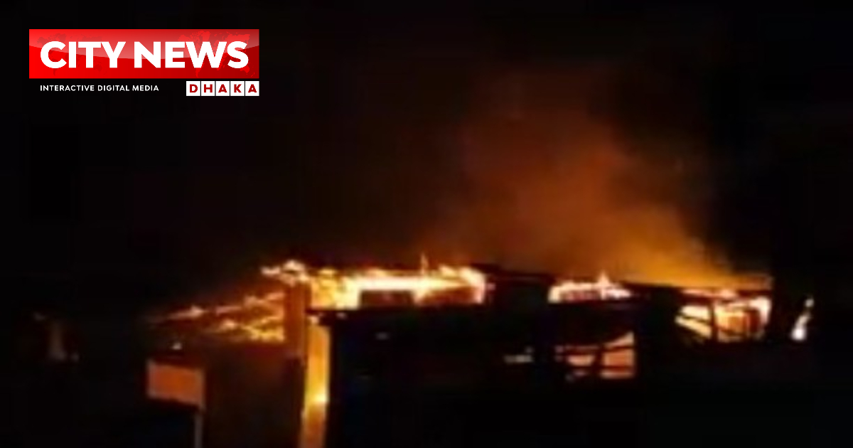 ঝালকাঠিতে ভিমরু‌লের বাসা পোড়াতে গিয়ে নিজ ঘরে আগুন