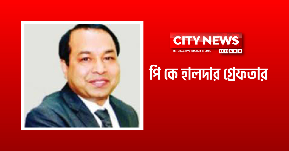 ভারতে পি কে হালদার গ্রেফতার