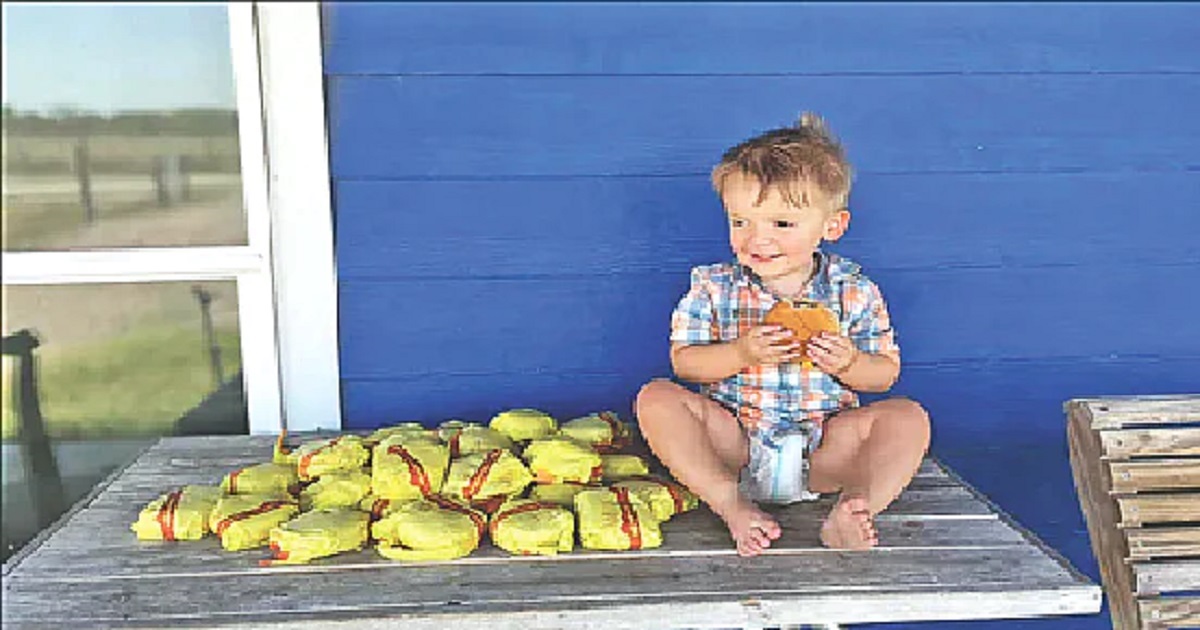 ৩১টি বার্গারের অর্ডার দিলো শিশু