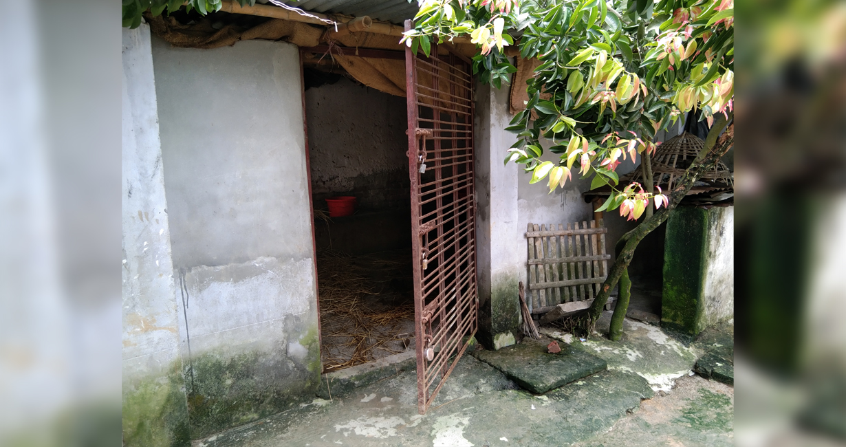 ফুলবাড়ীতে তালা ভেঙে ৪ গরু চুরি