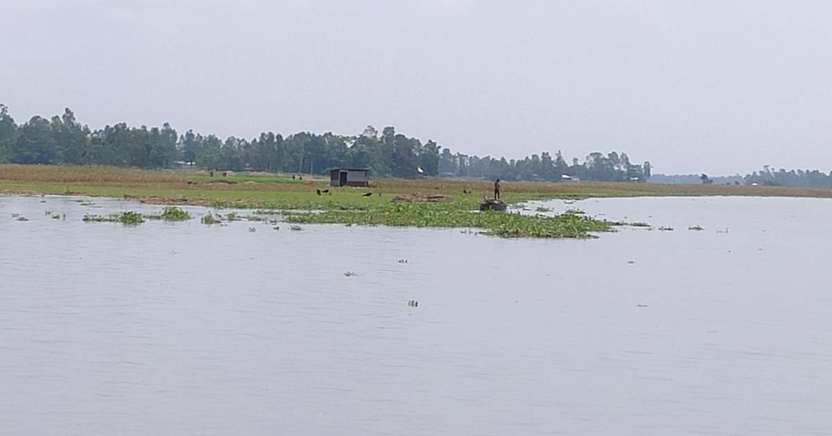 কুড়িগ্রামে পানি বৃদ্ধির সঙ্গে বাড়ছে জনভোগান্তি