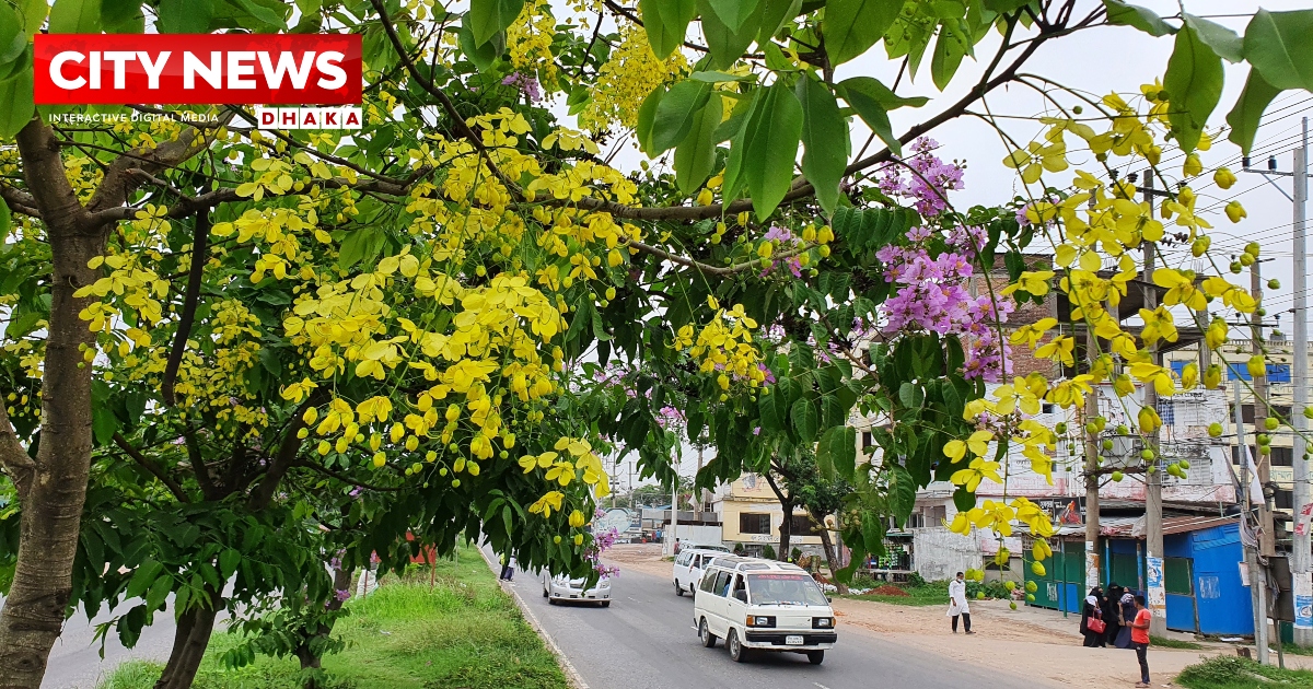 মহাসড়ক নয়, এ যেন রঙ্গিণ ফুলের বাগান