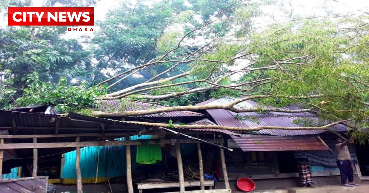 বাগেরহাটের শরণখোলায় ঝড়বৃষ্টিতে ব্যপক ক্ষতি: বজ্রপাতে গরুর মৃত্যু