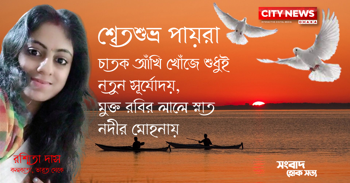 শ্বেতশুভ্র পায়রা