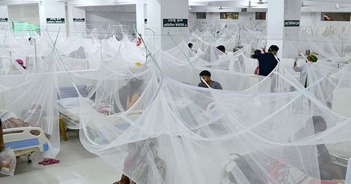 ডেঙ্গু জ্বর নিয়ে হাসপাতালে আরও ৫১ রোগী