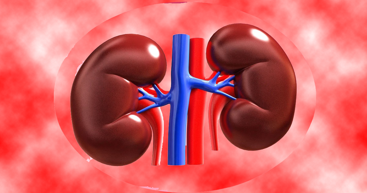 কিডনি দিতে পারে যে ২২ ধরনের আত্মীয়