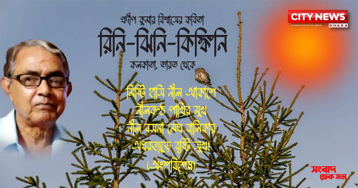 রিনি-ঝিনি-কিঙ্কিনি
