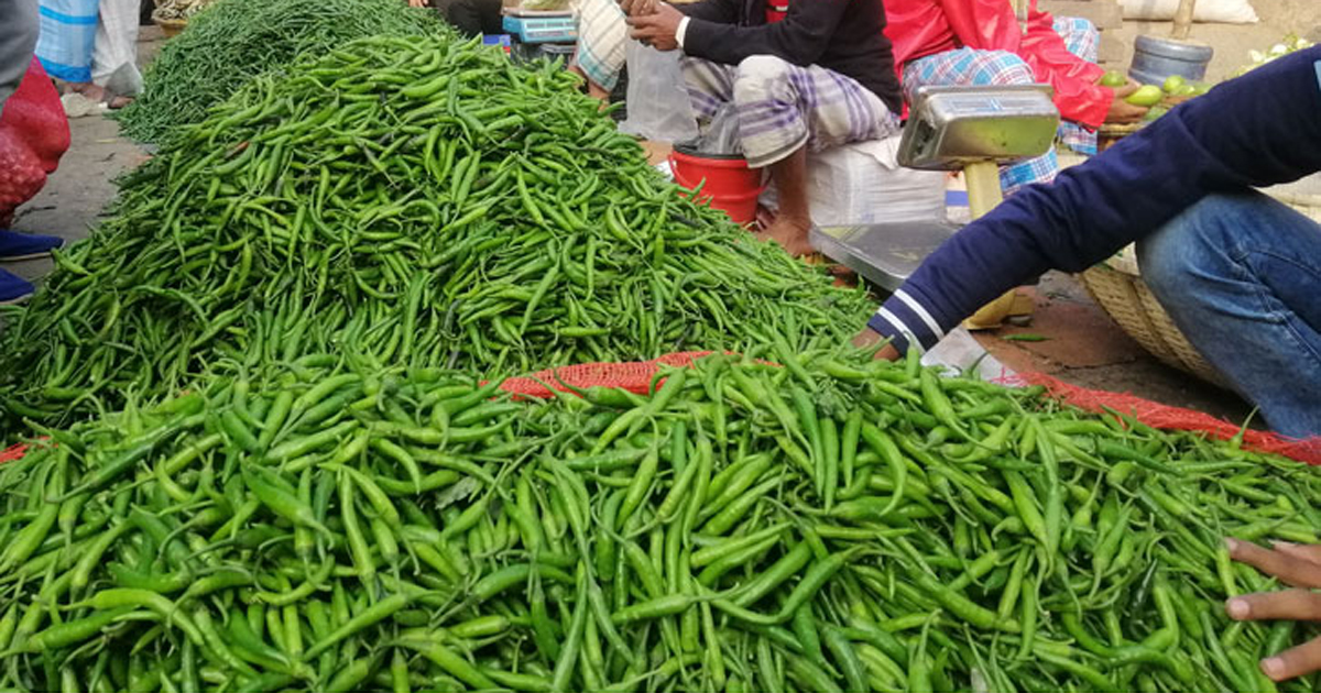 বাজারে কাঁচামরিচের ডাবল সেঞ্চুরি
