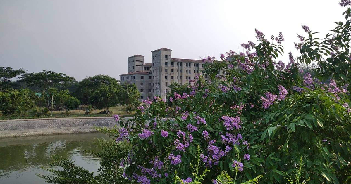 বর্ষার শোভিত বাহারি ফুল