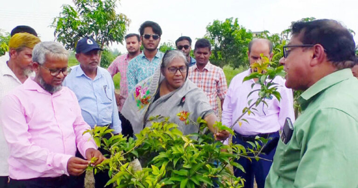 গাইবান্ধা হর্টিকালচার সেন্টার পরিদর্শনে হুইপ গিনি