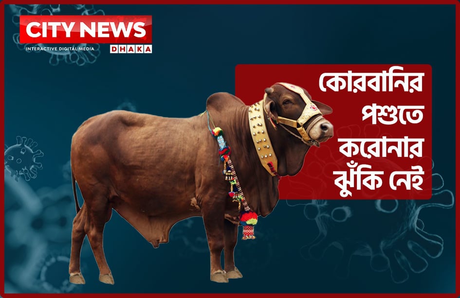 কোরবানির পশুতে করোনার ঝুঁকি নেই
