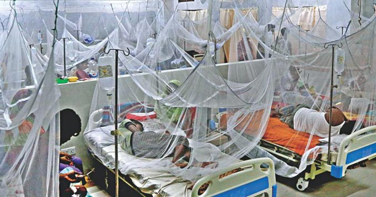 নতুন করে ২২৪ ডেঙ্গু রোগী হাসপাতালে ভর্তি