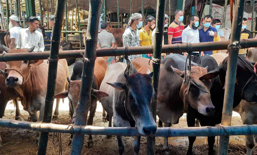অনলাইন হাটে ৩ লাখ ১৮ হাজার ৫০৭টি পশু বিক্রি