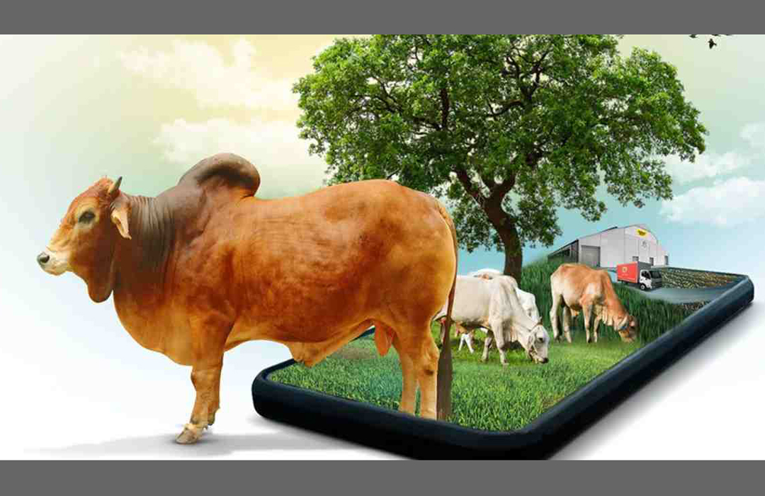 অনলাইনে হাজার কোটি টাকার পশু বিক্রির টার্গেট