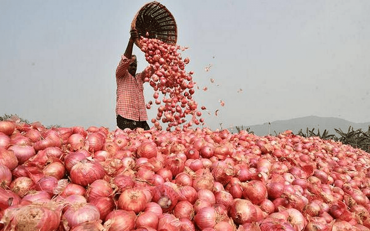 পেঁয়াজের দাম কেজিতে বাড়ল ১০ টাকা