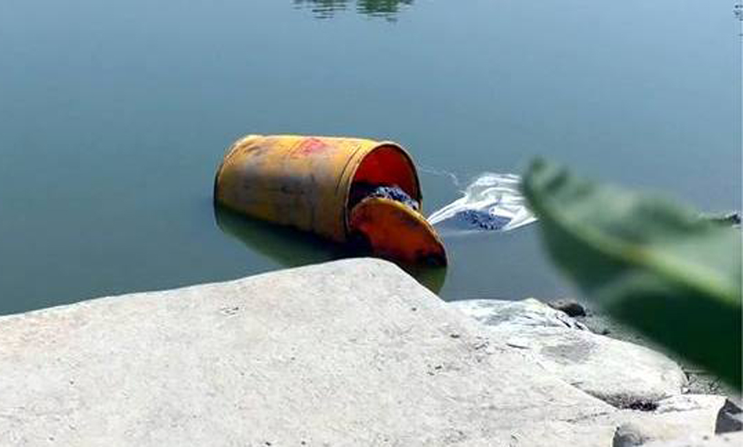 পুকুরে ভাসছিল তিন নাবালিকার লাশ