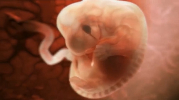 শুক্রাণু-ডিম্বাণু ছাড়াই পরীক্ষাগারে সৃষ্ট মানবভ্রূণ