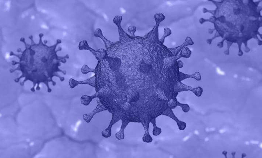 প্রায় ১০০ দেশে ছড়িয়েছে ডেল্টা : ডব্লিউএইচও