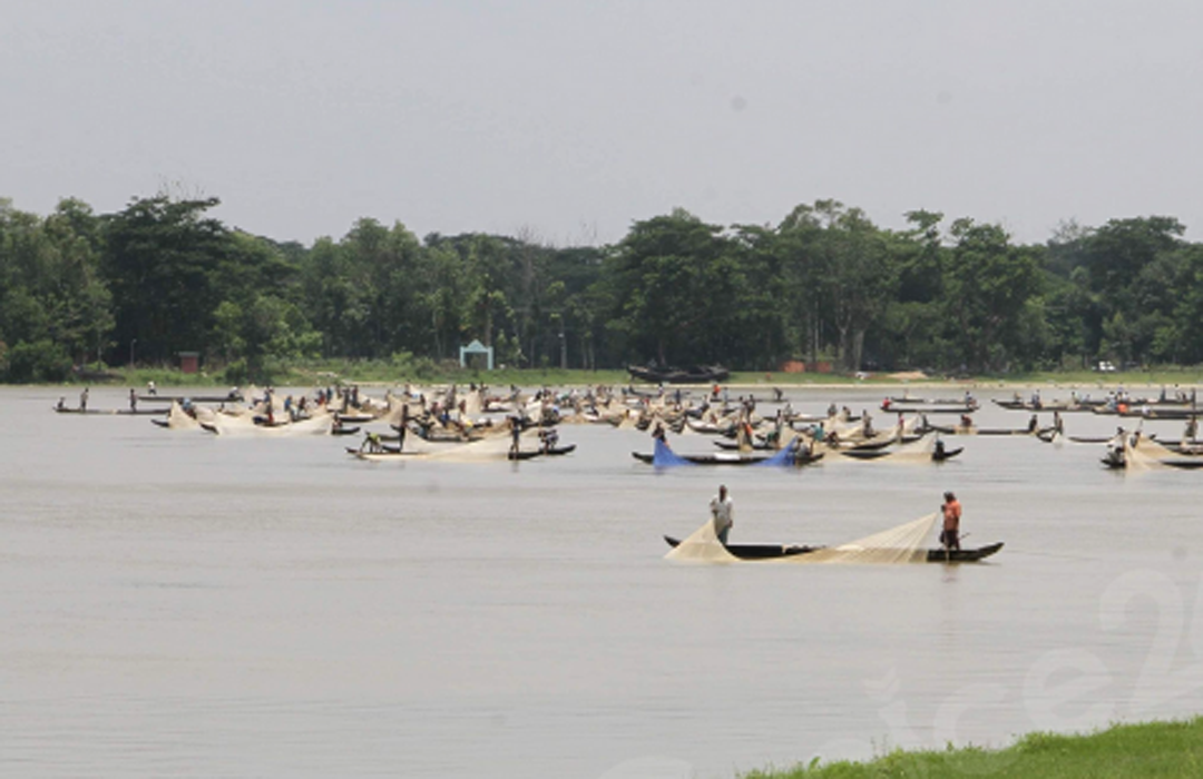 হালদায় মা মাছের অস্বাভাবিকতা, ডিম ছাড়তে অমাবস্যার অপেক্ষা