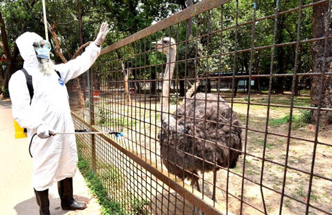 মনিটরিংয়ে চিড়িয়াখানার প্রাণিকুল